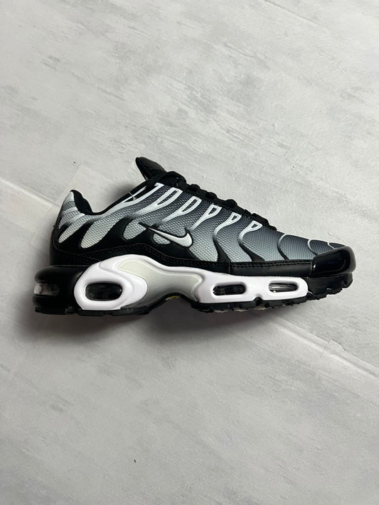 Air max tn 1