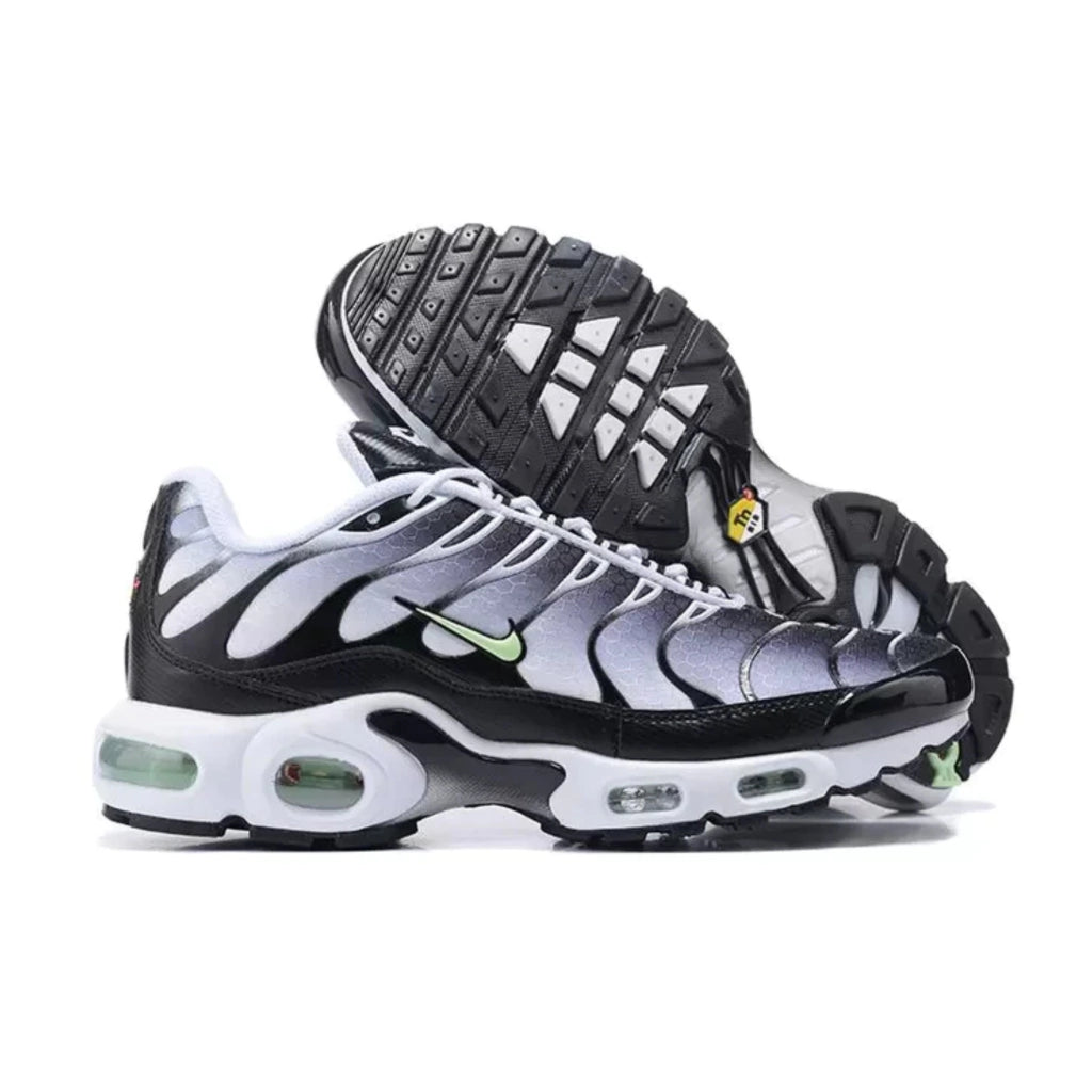 Air max plus TN 1 Tuned (BR)
