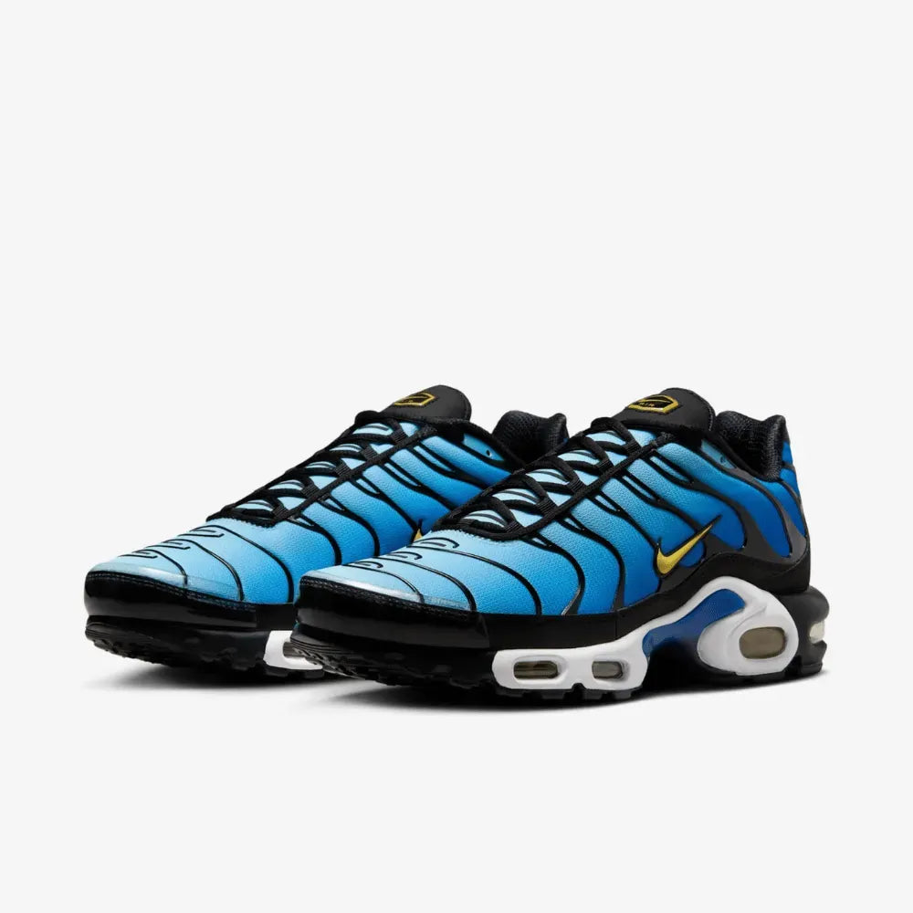 Air max Tn Hyper Blue (IM)