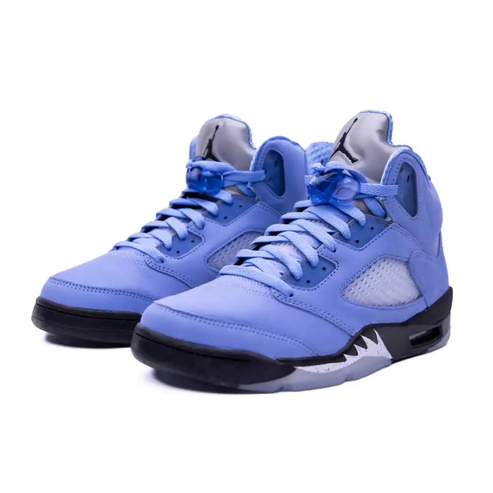 Air Jordan 5 UNC (IM)