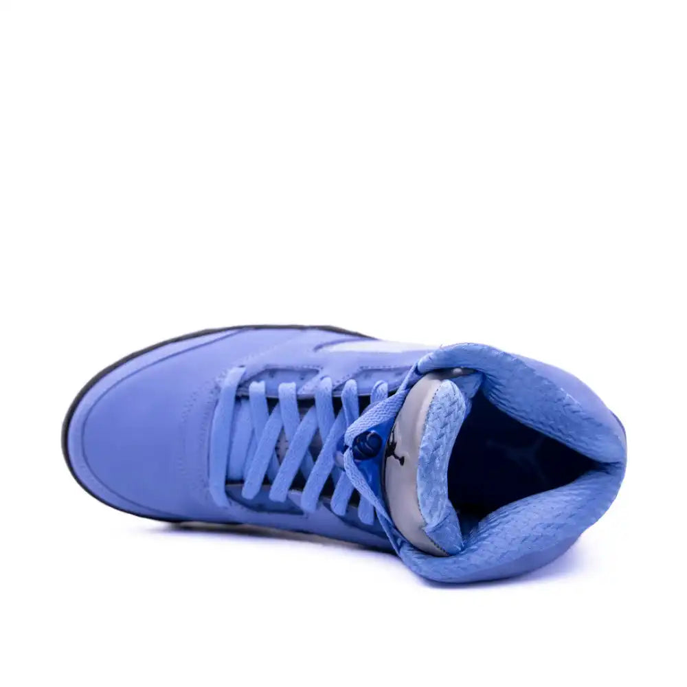 Air Jordan 5 UNC (IM)