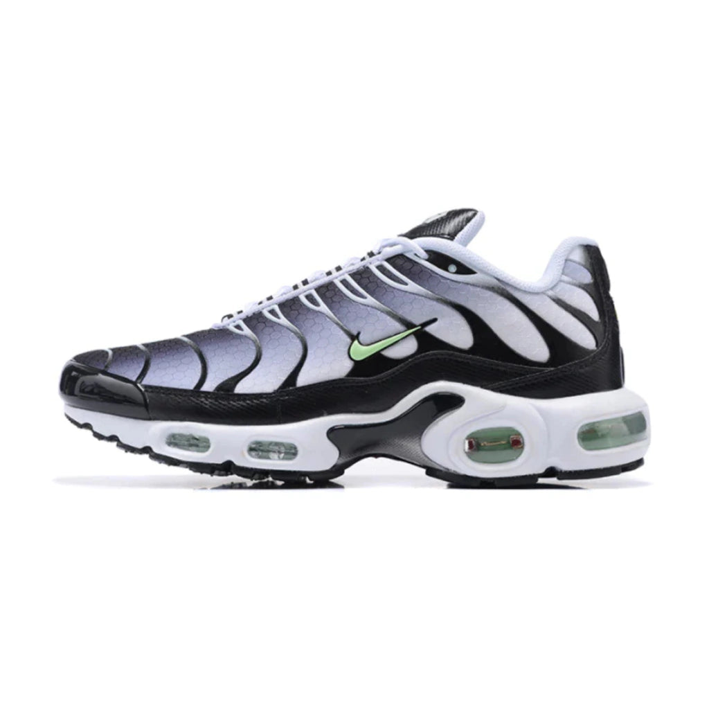 Air max plus TN 1 Tuned (BR)