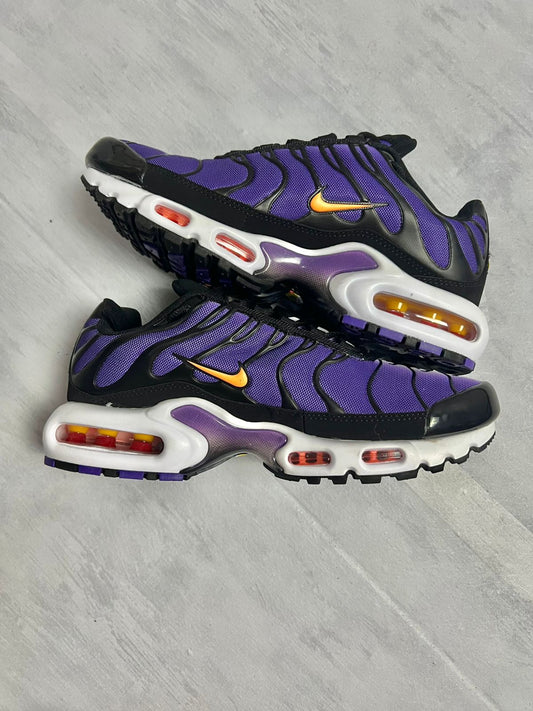 Air max tn purple