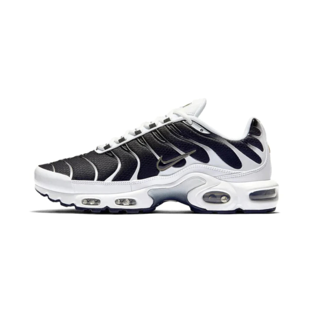 Air max plus TN 1 killer whale (BR)