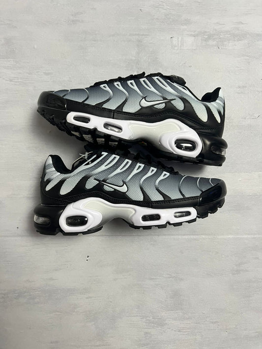 Air max tn 1