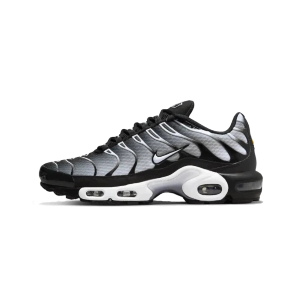 Air max tn 1 (BR)